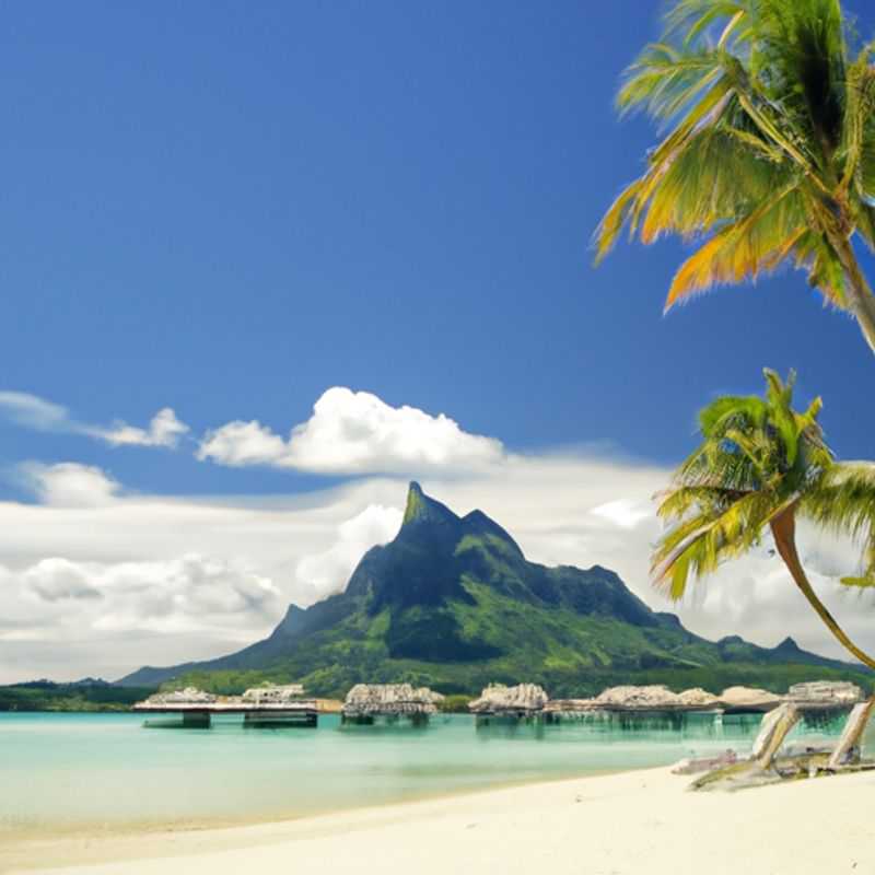 Découvrez Bora Bora &#58; Top 5 des hôtels de luxe&#44; lagon&#44; plage de Matira&#44; jardin de corail&#44; excursion plongée avec tuba et requins